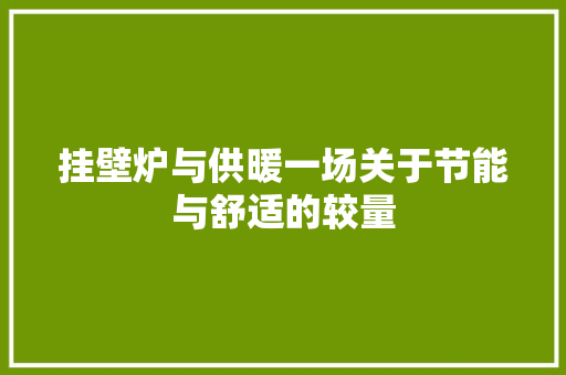 挂壁炉与供暖一场关于节能与舒适的较量 家居维修