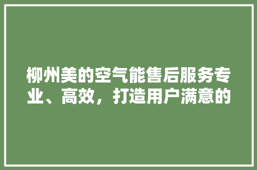 柳州美的空气能售后服务专业、高效，打造用户满意的家暖体验 洗衣机