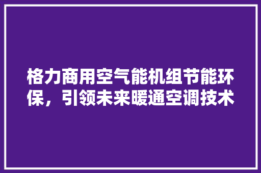 格力商用空气能机组节能环保，引领未来暖通空调技术革新 洗衣机