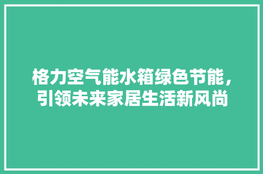 格力空气能水箱绿色节能，引领未来家居生活新风尚 热水器