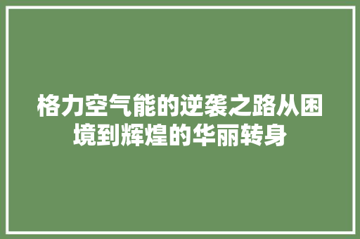 格力空气能的逆袭之路从困境到辉煌的华丽转身 家居维修