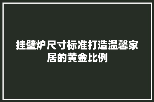 挂壁炉尺寸标准打造温馨家居的黄金比例 热水器