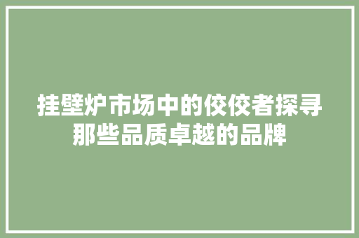 挂壁炉市场中的佼佼者探寻那些品质卓越的品牌 贴膜