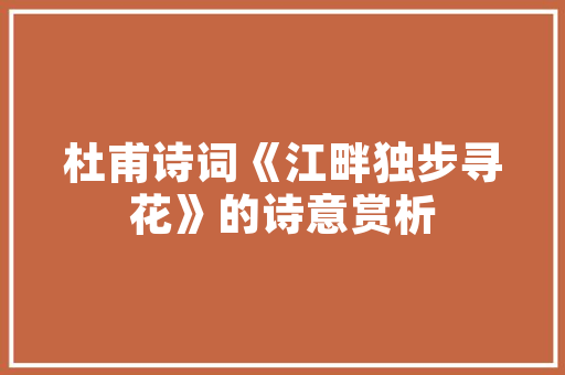 空气炸锅新趋势盘式空气炸锅的烹饪革命 冰箱