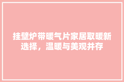 挂壁炉带暖气片家居取暖新选择，温暖与美观并存 清洁保养