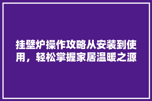 挂壁炉操作攻略从安装到使用，轻松掌握家居温暖之源 家电维护