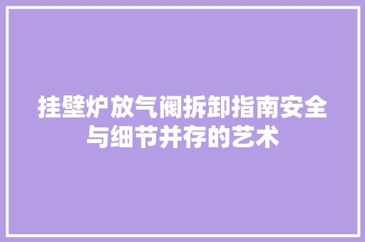 挂壁炉放气阀拆卸指南安全与细节并存的艺术 冰箱