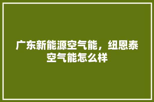 广东新能源空气能，纽恩泰空气能怎么样 洗衣机