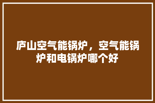庐山空气能锅炉，空气能锅炉和电锅炉哪个好 局部翻新