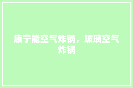 康宁能空气炸锅，玻璃空气炸锅 局部翻新
