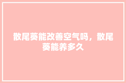 散尾葵能改善空气吗，散尾葵能养多久 旧房改造