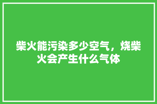 柴火能污染多少空气，烧柴火会产生什么气体 灯具安装