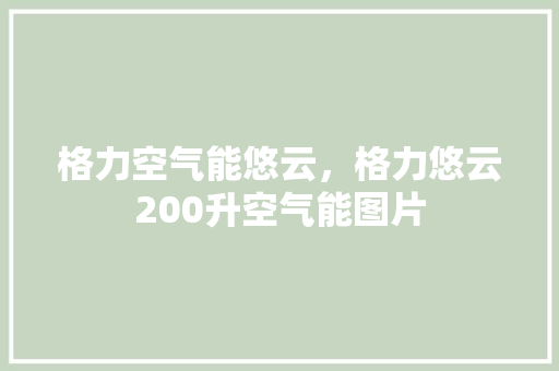 格力空气能悠云，格力悠云200升空气能图片 旧房改造