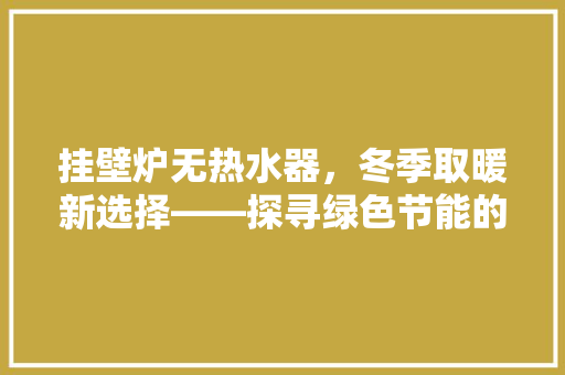 挂壁炉无热水器，冬季取暖新选择——探寻绿色节能的取暖方式 热水器
