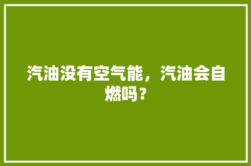汽油没有空气能，汽油会自燃吗？ 家具修理