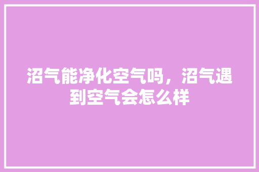 沼气能净化空气吗，沼气遇到空气会怎么样 冰箱