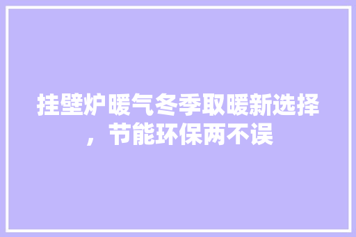 挂壁炉暖气冬季取暖新选择，节能环保两不误 水电维修