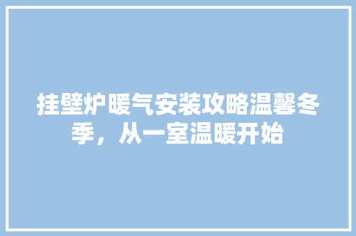 挂壁炉暖气安装攻略温馨冬季，从一室温暖开始 家电维护