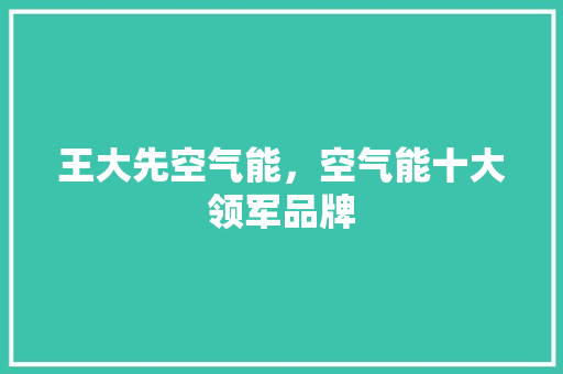 王大先空气能，空气能十大领军品牌 翻新改色