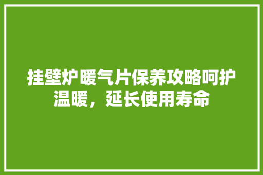 挂壁炉暖气片保养攻略呵护温暖,延长使用寿命 冰箱 挂壁炉暖气片保养攻略呵护温暖,延长使用寿命 冰箱