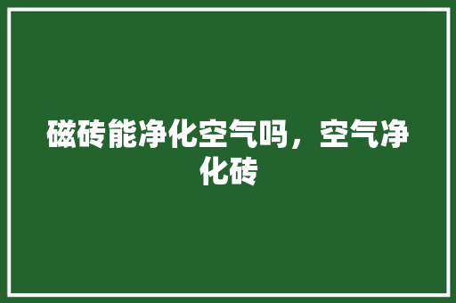 磁砖能净化空气吗，空气净化砖 清洁保养