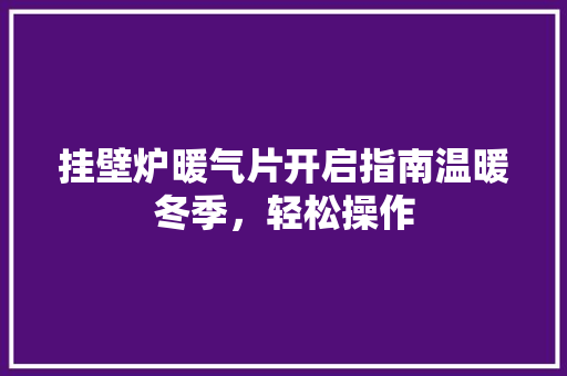 挂壁炉暖气片开启指南温暖冬季，轻松操作 洗衣机