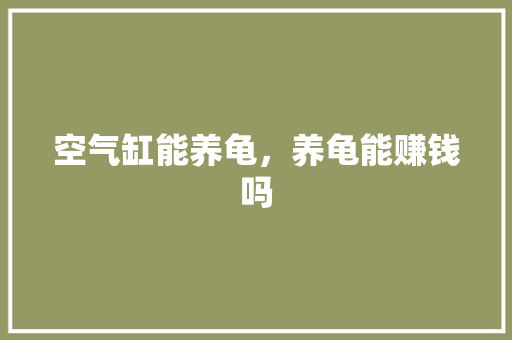 空气缸能养龟，养龟能赚钱吗 家电维护
