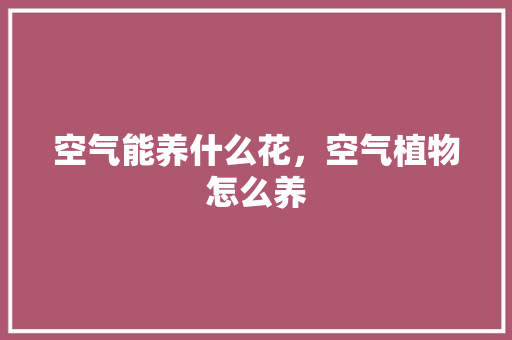 空气能养什么花，空气植物怎么养 家电维护