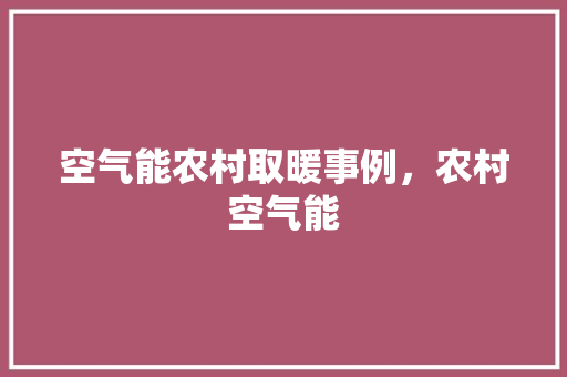 空气能农村取暖事例，农村空气能 家具修理