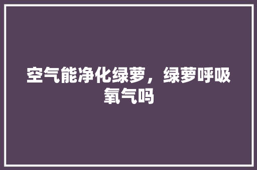 空气能净化绿萝，绿萝呼吸氧气吗 水电维修