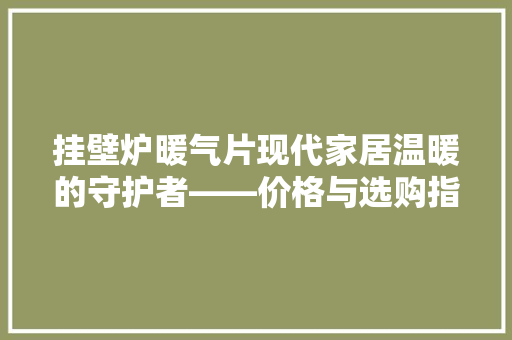 挂壁炉暖气片现代家居温暖的守护者——价格与选购指南 冰箱