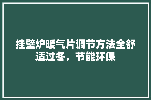 挂壁炉暖气片调节方法全舒适过冬，节能环保 旧房改造