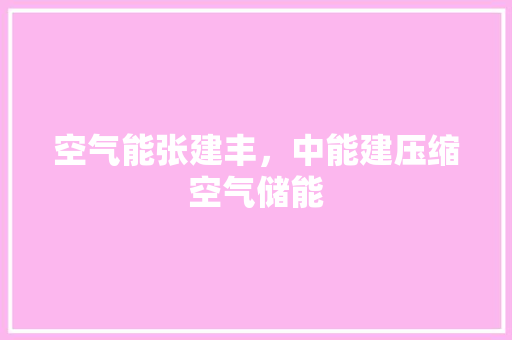 空气能张建丰，中能建压缩空气储能 贴膜