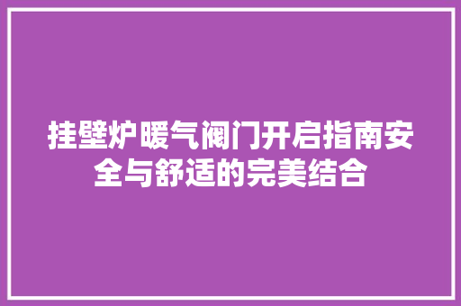 挂壁炉暖气阀门开启指南安全与舒适的完美结合 清洁保养
