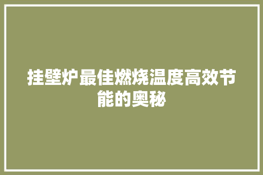 挂壁炉最佳燃烧温度高效节能的奥秘 洗衣机