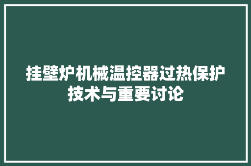 挂壁炉机械温控器过热保护技术与重要讨论 清洁保养