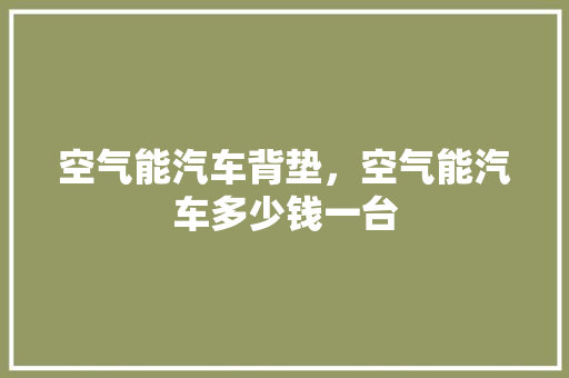空气能汽车背垫，空气能汽车多少钱一台 热水器