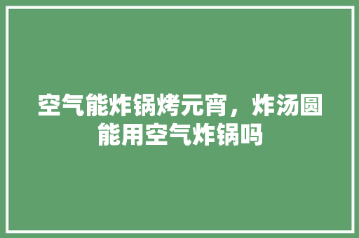 空气能炸锅烤元宵，炸汤圆能用空气炸锅吗 家具修理