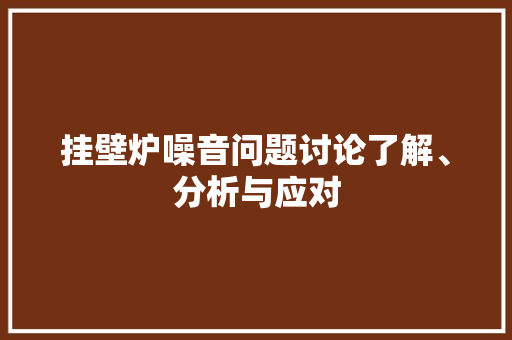 挂壁炉噪音问题讨论了解、分析与应对 洁具维修
