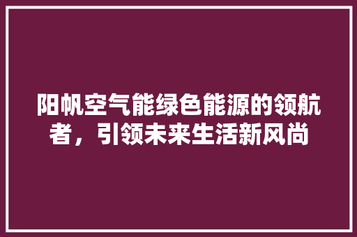阳帆空气能绿色能源的领航者，引领未来生活新风尚 水电维修