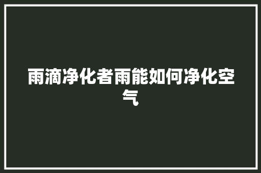 雨滴净化者雨能如何净化空气 灯具安装