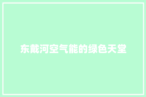 东戴河空气能的绿色天堂 空调