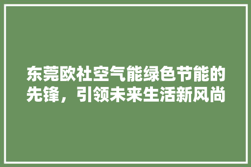 东莞欧社空气能绿色节能的先锋，引领未来生活新风尚 清洁保养