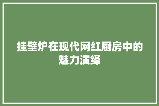 挂壁炉在现代网红厨房中的魅力演绎 清洁保养
