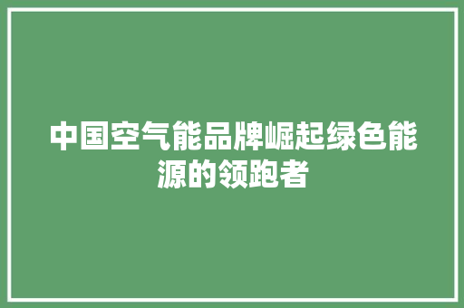 中国空气能品牌崛起绿色能源的领跑者 灯具安装