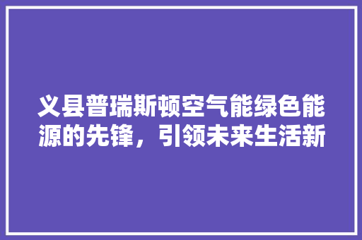 义县普瑞斯顿空气能绿色能源的先锋，引领未来生活新风尚 热水器