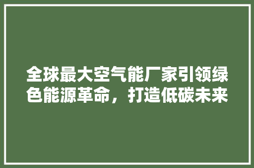 全球最大空气能厂家引领绿色能源革命，打造低碳未来 洗衣机