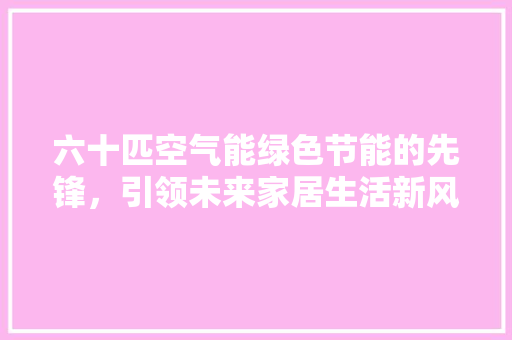 六十匹空气能绿色节能的先锋，引领未来家居生活新风尚 热水器