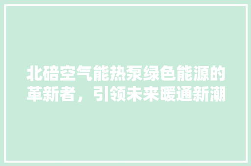 北碚空气能热泵绿色能源的革新者，引领未来暖通新潮流 热水器