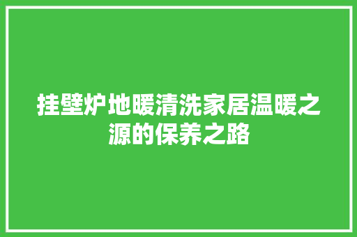 挂壁炉地暖清洗家居温暖之源的保养之路 家居维修